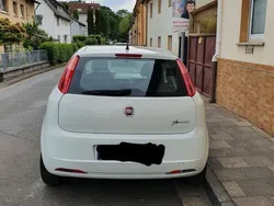 Weiß Gebraucht 2013 Fiat Punto Kleinwagen | 6.200 € (Teuer)