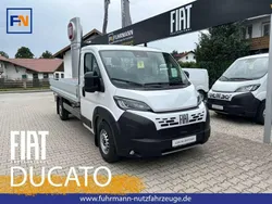 Weiß Neu 2025 Fiat Ducato Van | 34.927 € (Etwas zu teuer)