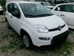 Weiß Neu 2024 Fiat Panda Kleinwagen | 14.980 €