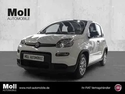 Weiss Gebraucht 2024 Fiat Panda Kleinwagen | 14.180 € (Fairer Preis)