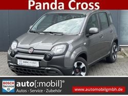 Colosseo grau) (grau Gebraucht 2023 Fiat Panda Cross Limousine | 12.480 €