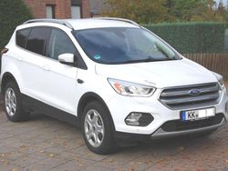 Frozen white Gebraucht 2017 Ford Kuga Business Edition SUV | 8.990 € (Superpreis)