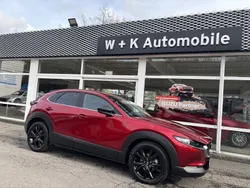 Neu 2024 Mazda CX-30 Homura-Line SUV | 26.990 €