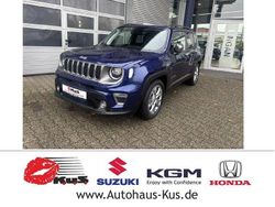 Blau Gebraucht 2019 Jeep Renegade SUV | 14.444 € (Guter Preis)