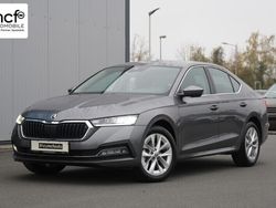 Grau Gebraucht 2023 Skoda Octavia Style Limousine | 27.890 € (Guter Preis)