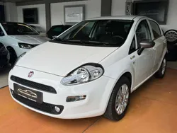 Colore esterno (bianco divino) Gebraucht 2016 Fiat Punto Young Kleinwagen | 7.490 € (Etwas zu teuer)