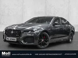 Carpathian grey (grau) Gebraucht 2023 Jaguar XF R-Dynamic Limousine | 34.695 € (Superpreis)