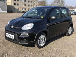 Schwarz Gebraucht 2024 Fiat Panda Kleinwagen | 15.389 € (Etwas zu teuer)
