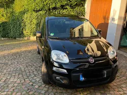Schwarz Gebraucht 2017 Fiat Panda Easy Kleinwagen | 6.800 € (Fairer Preis)