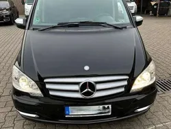 Mercedes Viano