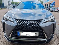 Grau Gebraucht 2019 Lexus UX 250h Executive Line SUV | 24.990 € (Etwas zu teuer)