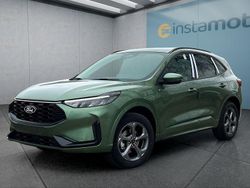 Grün Gebraucht 2024 Ford Kuga ST-Line SUV | 43.949 €