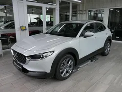 Weiß Gebraucht 2025 Mazda CX-30 Center-Line SUV | 28.700 € (Guter Preis)
