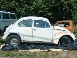 Weiß Gebraucht 1971 VW Käfer Limousine | 750 €