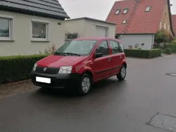 Rot Gebraucht 2009 Fiat Panda Kleinwagen | 2.499 € (Fairer Preis)