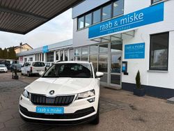 Weiß Gebraucht 2019 Skoda Karoq Ambition SUV | 14.690 € (Fairer Preis)