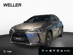 Mercury grey (grau) Gebraucht 2019 Lexus UX SUV | 20.850 €