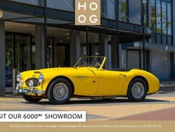 Austin Healey 100/6