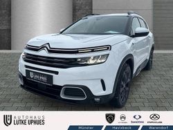 Weiß Gebraucht 2022 Citroën C5 Aircross SUV | 19.900 € (Fairer Preis)
