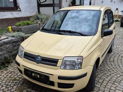 Gelb Gebraucht 2006 Fiat Panda Kleinwagen | 1.800 €