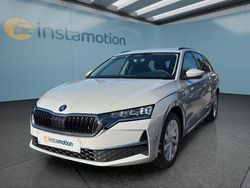 Grau Neu 2025 Skoda Octavia Kombi | 33.099 € (Guter Preis)