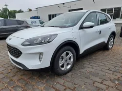Weiß Neu 2024 Ford Kuga SUV | 33.900 € (Superpreis)