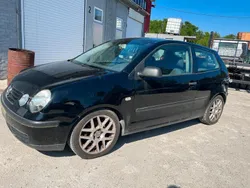 Schwarz Gebraucht 2004 VW Polo Kleinwagen | 650 € (Fairer Preis)