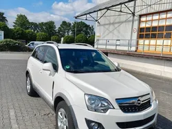 Weiß Gebraucht 2014 Opel Antara Cosmo SUV | 5.300 € (Guter Preis)