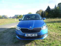 Blau Gebraucht 2019 Skoda Fabia Ambition Kleinwagen | 10.750 € (Fairer Preis)