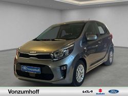 Grau Gebraucht 2023 Kia Picanto Vision Kleinwagen | 12.999 € (Fairer Preis)