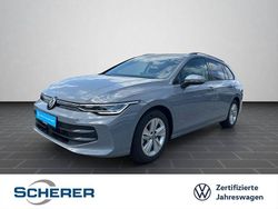 Mondsteingrau Gebraucht 2024 VW Golf VIII Life Limousine | 25.980 € (Fairer Preis)