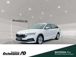 Weiß Gebraucht 2022 Skoda Octavia Ambition Kombi | 22.769 € (Guter Preis)