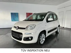 Grau Gebraucht 2012 Fiat Panda Lounge Kleinwagen | 6.480 € (Fairer Preis)