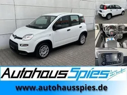 Weiss Gebraucht 2023 Fiat Panda Kleinwagen | 11.990 € (Fairer Preis)