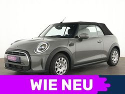 Grau Gebraucht 2022 Mini One Cabriolet Essential Cabrio | 21.456 € (Fairer Preis)