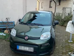 Fiat Panda 4x4
