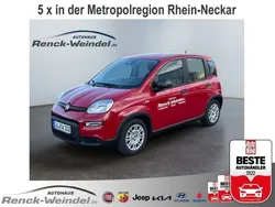 Rot Neu 2024 Fiat Panda Kleinwagen | 15.789 € (Fairer Preis)