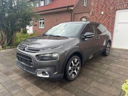 Grau Gebraucht 2020 Citroën C4 Cactus Shine Kleinwagen | 11.990 € (Fairer Preis)