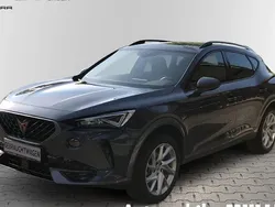 Grau Gebraucht 2024 Cupra Formentor SUV | 31.899 € (Guter Preis)