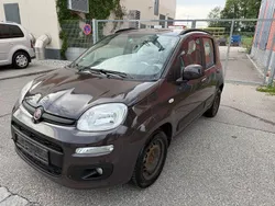 Braun Gebraucht 2013 Fiat Panda Kleinwagen | 4.000 € (Fairer Preis)