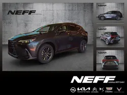 Sonic grey Neu 2024 Lexus NX350h Executive Line SUV | 46.990 € (Superpreis)