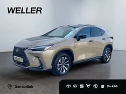 Beige Gebraucht 2024 Lexus NX350h E-FOUR SUV | 59.990 € (Fairer Preis)