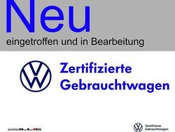 Delfingrau Gebraucht 2024 VW Tiguan Goal SUV | 45.890 € (Guter Preis)