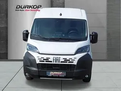 Ducato weiß Gebraucht 2024 Fiat Ducato Van | 33.960 € (Guter Preis)