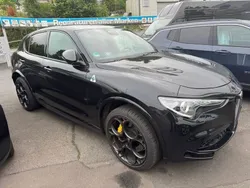 Schwarz Gebraucht 2021 Alfa Romeo Stelvio Quadrifoglio SUV | 54.900 € (Fairer Preis)