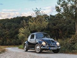 Schwarz Gebraucht 1969 VW Käfer Kleinwagen | 18.500 €