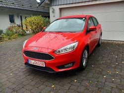 Rot Gebraucht 2016 Ford Focus Trend Limousine | 6.000 € (Guter Preis)