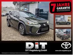 Norigrün Neu 2025 Lexus UX 300h Sport Design Packet SUV | 36.490 € (Guter Preis)