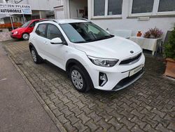 Weiß Gebraucht 2021 Kia Stonic Edition 7 SUV | 12.898 € (Superpreis)