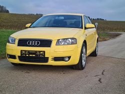 Gelb Gebraucht 2004 Audi A3 Limousine | 2.800 € (Superpreis)